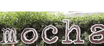 Mocha logo